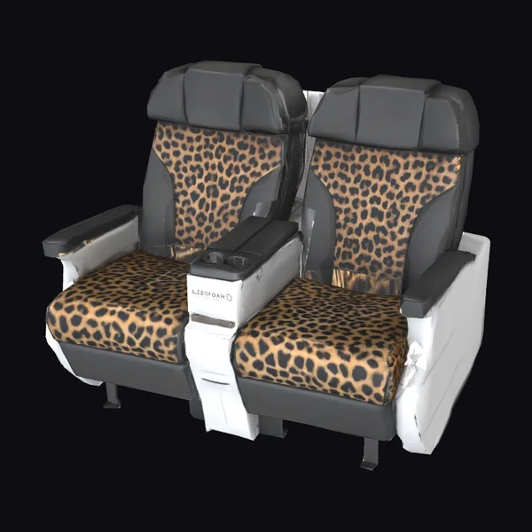 Airplane Seats with Leopard Upholstery