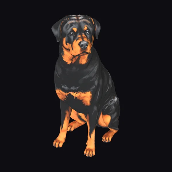 Sitting Rottweiler Dog