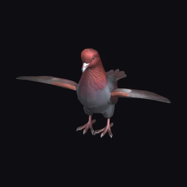 Beige Pigeon with Red Head