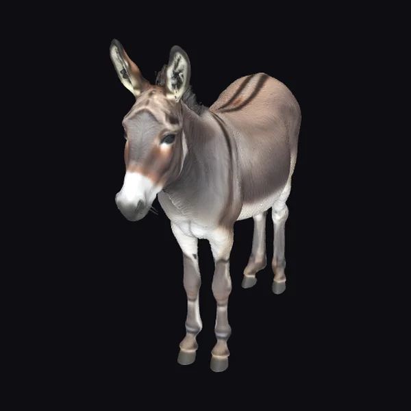Brown Donkey Standing