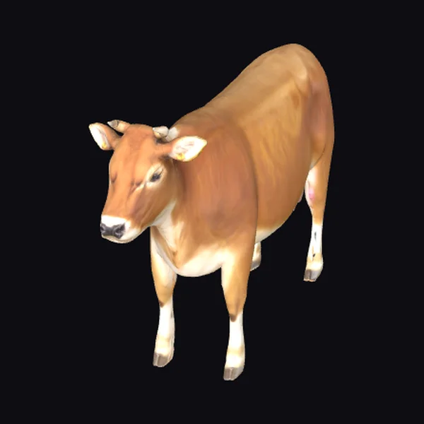 Brown Cow Standing