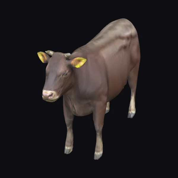 Brown Cow with Yellow Ears