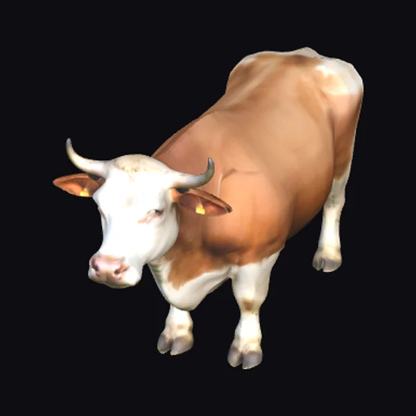 Brown White Cow Standing