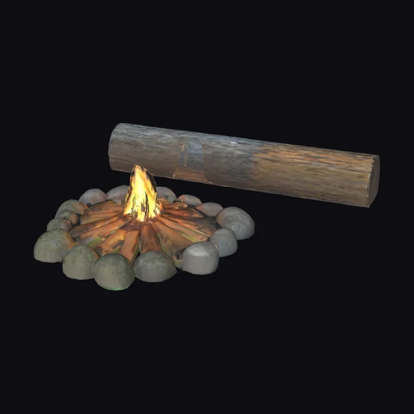 Campfire with Log