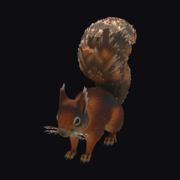 Furry Squirrel Standing