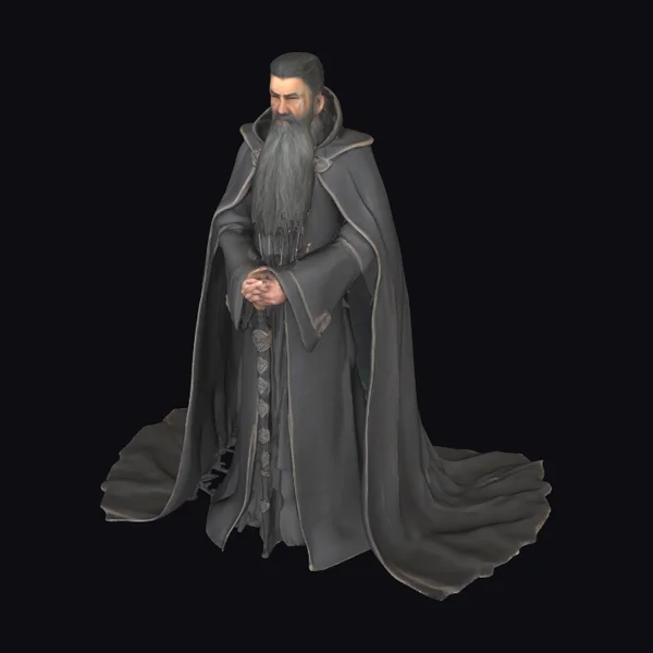 Adult Wizard in Dark Robes