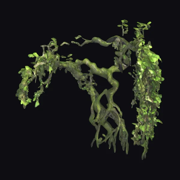 Twisted Jungle Vine