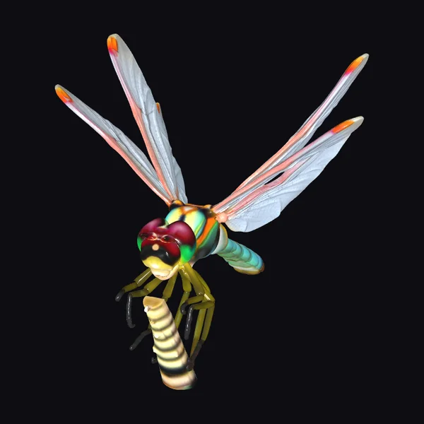 Dragonfly Insect Creature