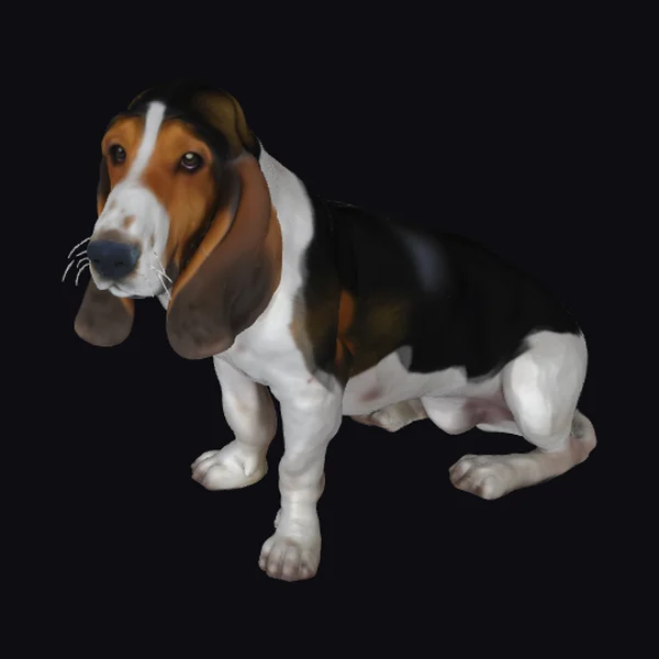 Basset Hound Dog