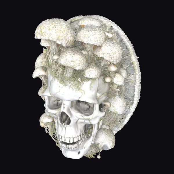 Mushroom Covered Skull
