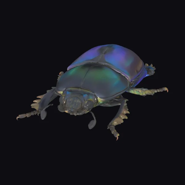 Iridescent Beetle