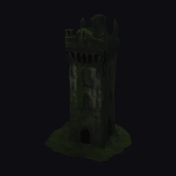 Abandoned Medieval Tower