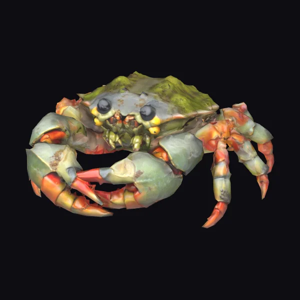 Mossy Bog Crab