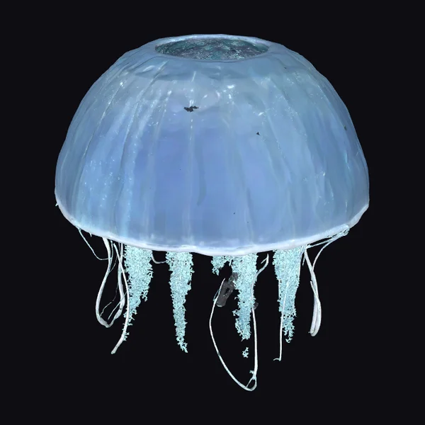 Glowing Blue Jellyfish Dome