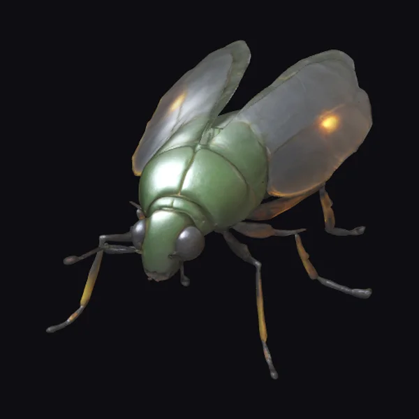 Glowing Green Firefly Insect