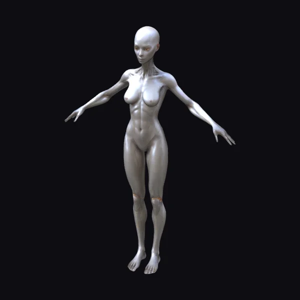 Sleek Humanoid Female Figure