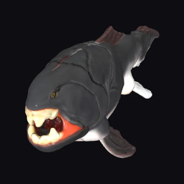 Ancient Armored Fish