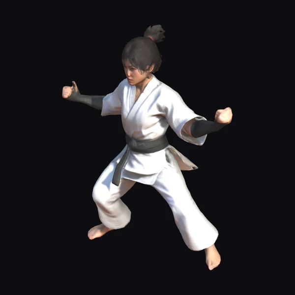 Martial Arts Female Fighter