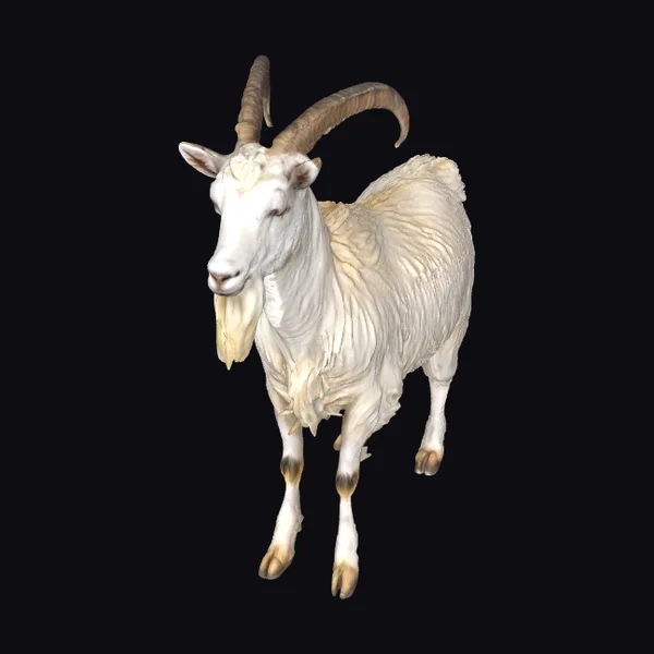 Majestic Goat