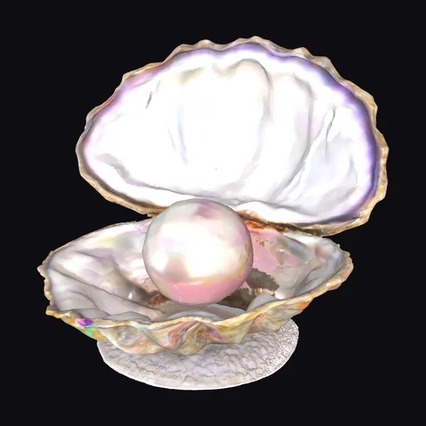 Multicolor Pearl Oyster