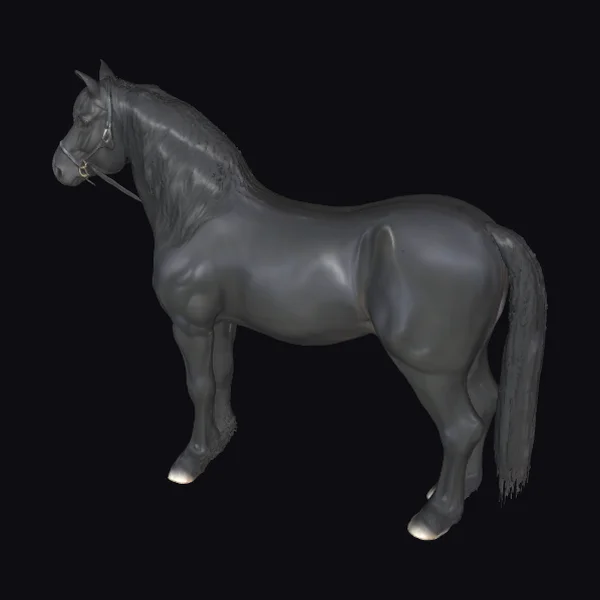 Majestic Black Stallion