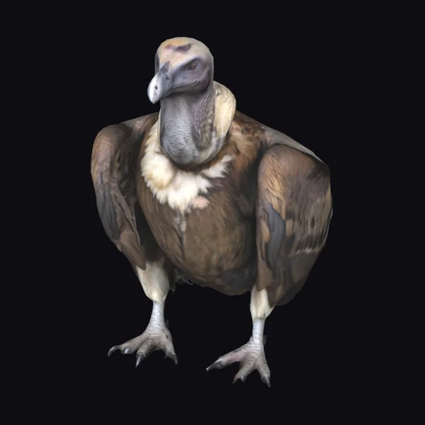 Majestic Vulture Statue