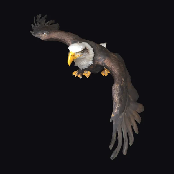 Soaring Eagle in Flight