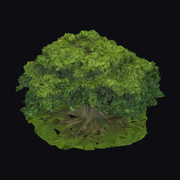 Lush Green Banyan Tree