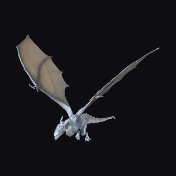 Flying White Dragon