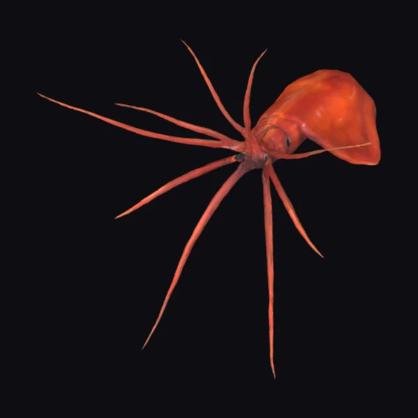 Deep Sea Squid Creature