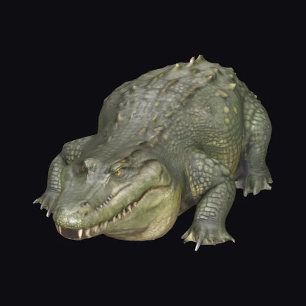 Large Reptile Crouching Down