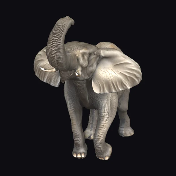 Gray Elephant Sketch