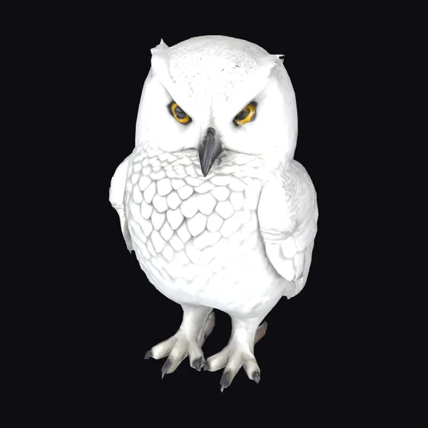 Majestic White Owl