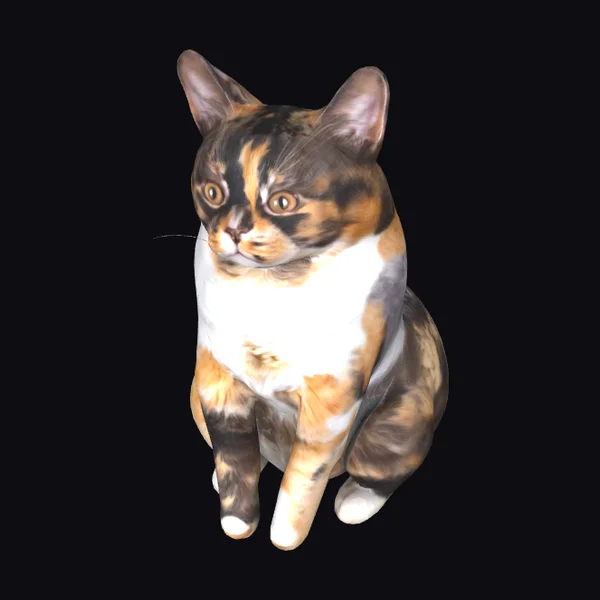 Calico Cat Portrait