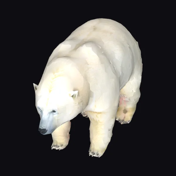 Majestic Polar Bear