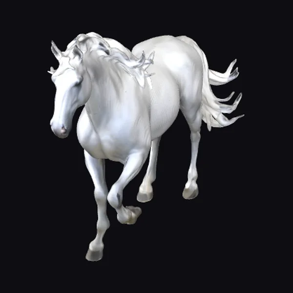 White Stallion in Motion