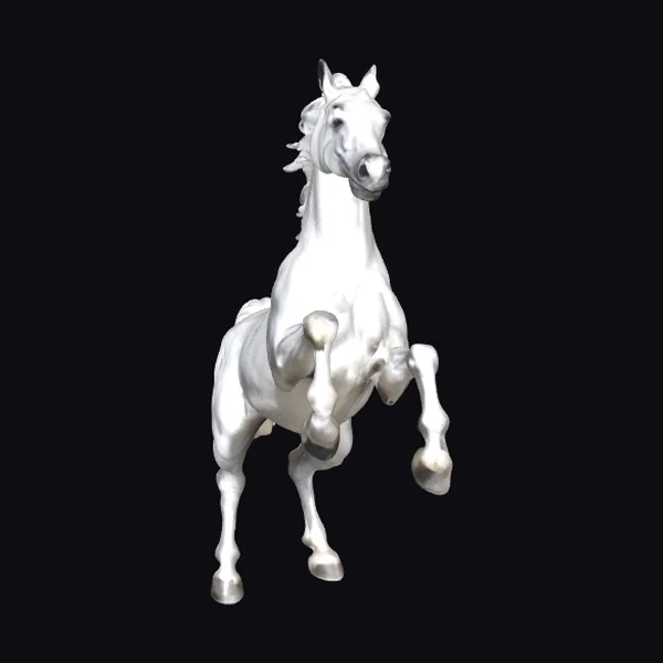 Rearing White Stallion