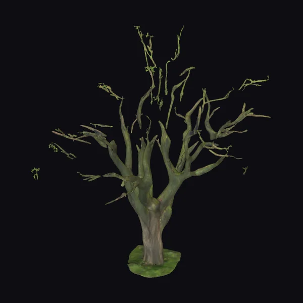 Bare Tree with Leaves