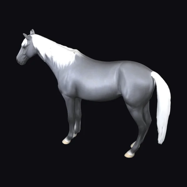 Gray Horse with White Mane