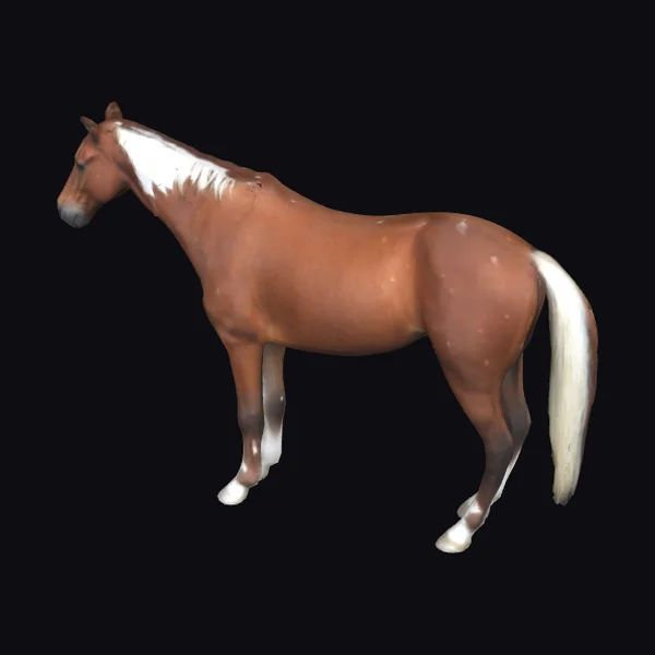 Chestnut Horse with White Markings