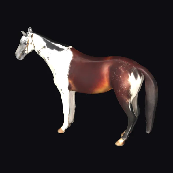 Painted Chestnut Horse