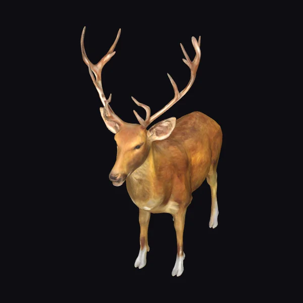 Majestic Stag Antlers