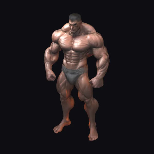 Muscular Male Physique