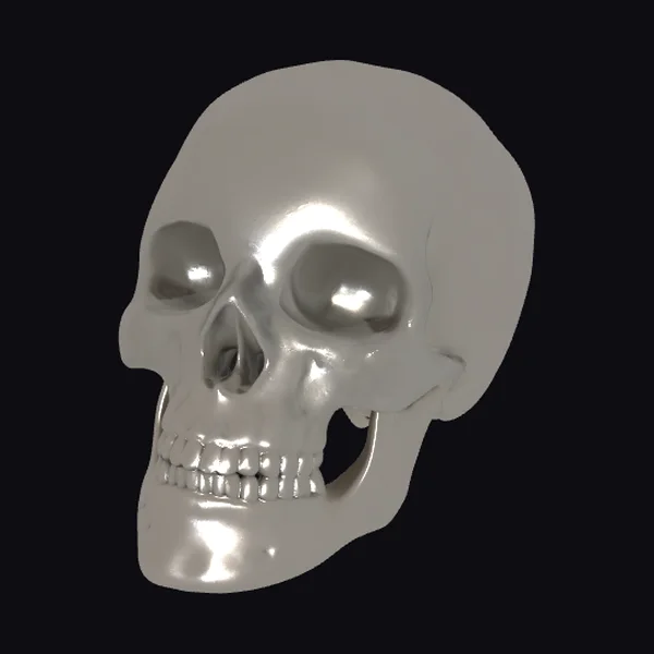 Shiny Metal Skull