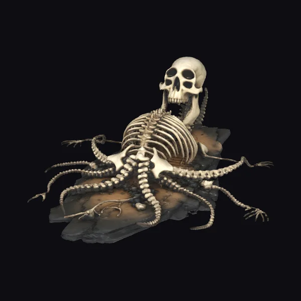 Skeleton Octopus on Rock