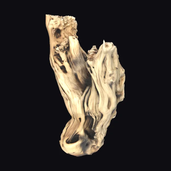 Weathered Driftwood Piece