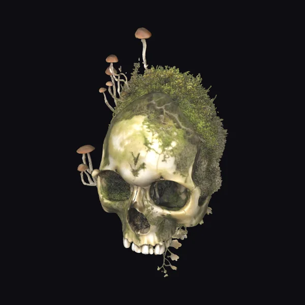 Mossy Skull with Mushrooms