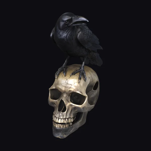 Crow on Skull