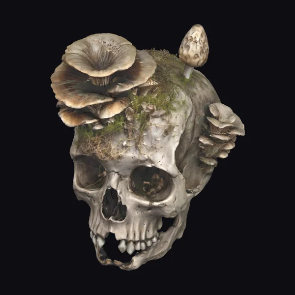 Mushroom Covered Skull