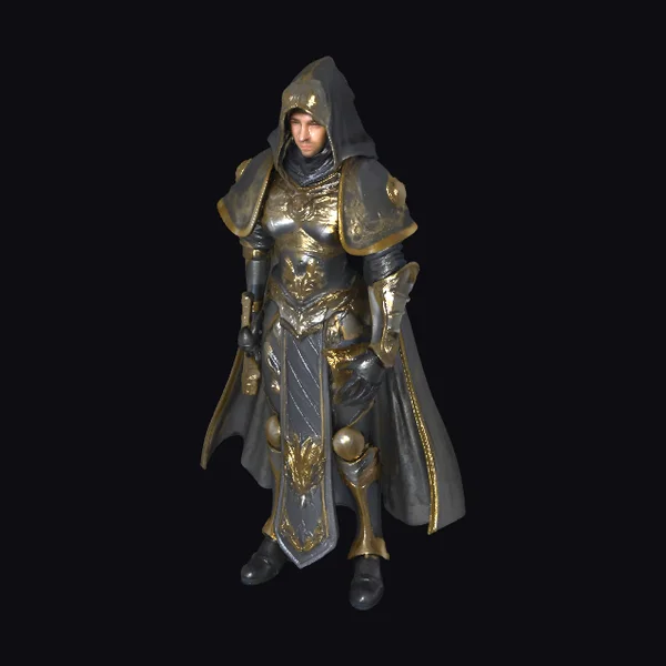 Hooded Knight Armor